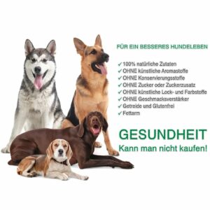 Group of different dogs on white background