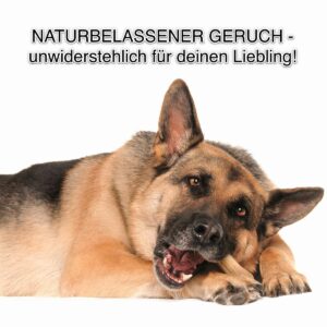 DSH Deutscher Schäferhund Knochen Kauknochen Fressen Kauen